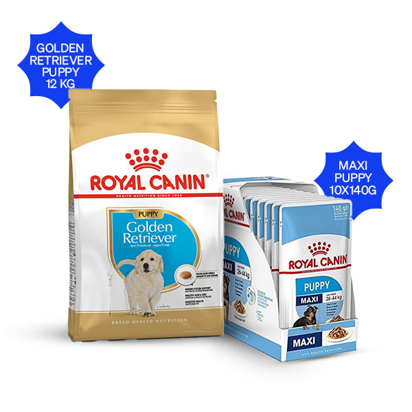 Royal Canin Golden Retriever Puppy Dry Food & Maxi Puppy Wet Food Combos