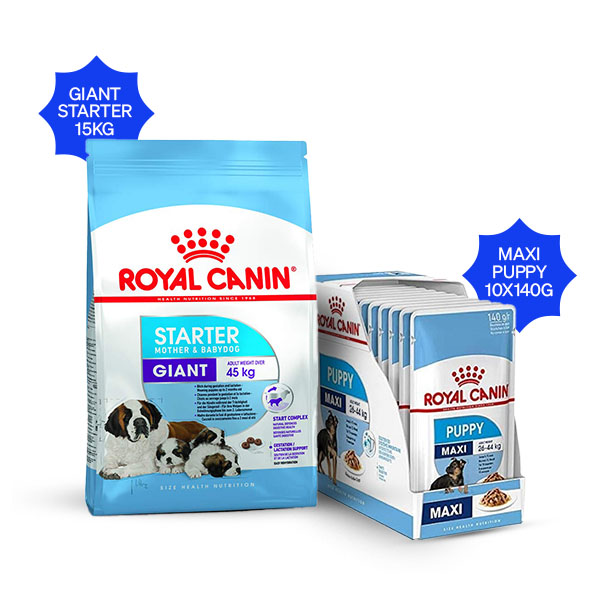Royal Canin Giant Starter Dry Dog Food & Maxi Puppy Wet Dog Food Combo