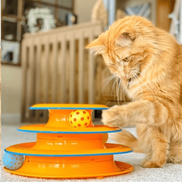 Petstages Tower Of Track (3 Level) Active Cat Toy Petstages Tower Of Track (3 Level) Active Cat Toy