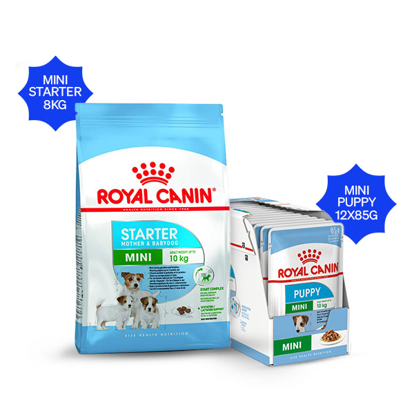 Royal Canin Mini Starter Dry Food & Mini Puppy Wet Food Combos