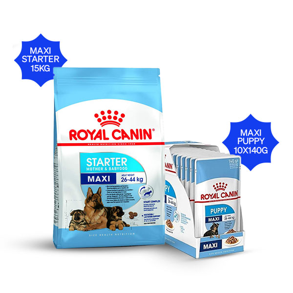 Royal Canin Maxi Starter Dry Dog Food & Maxi Puppy Wet Dog Food Combos
