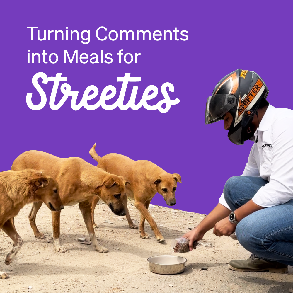Comments_into_Meals Blog JUSTDOGS
