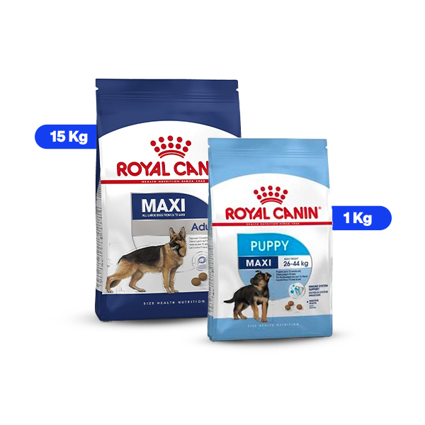 Royal Canin Maxi Adult & Maxi Starter Dry Dog Food