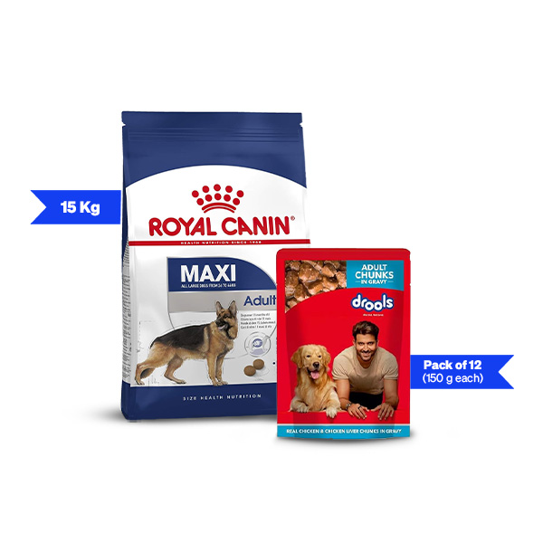 Royal Canin Maxi Adult Dry Dog Food and Drools Chicken Liver Chunks in Gravy Wet Dog Food