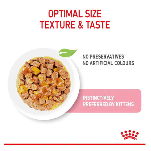 Royal Canin Chunks in Jelly Wet Kitten Food Royal Canin Chunks in Jelly Wet Kitten Food