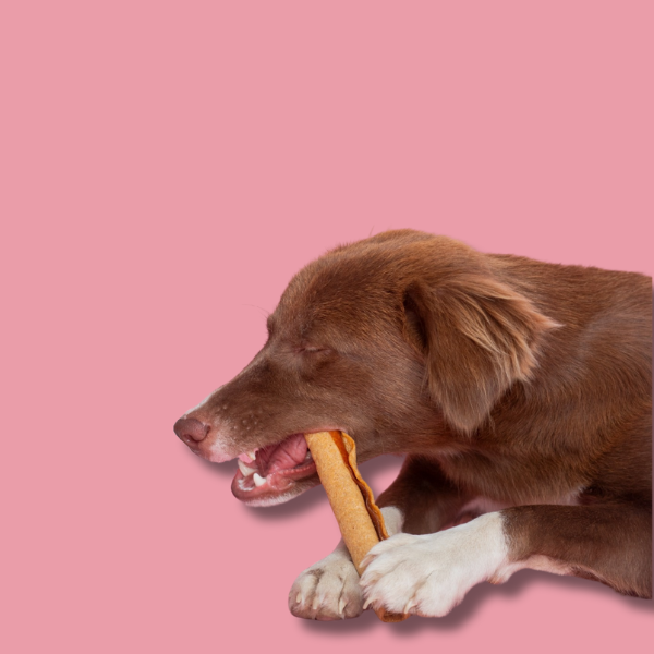 Woof Woof Snackers Ultimate Roll With Real Chicken Slice Woof Woof Snackers Ultimate Roll With Real Chicken Slice