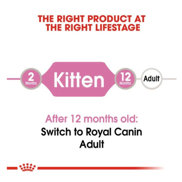 Royal Canin Chunks in Jelly Wet Kitten Food Royal Canin Chunks in Jelly Wet Kitten Food