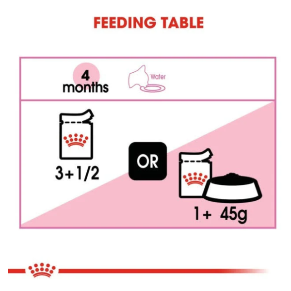 Royal Canin Chunks in Jelly Wet Kitten Food Royal Canin Chunks in Jelly Wet Kitten Food