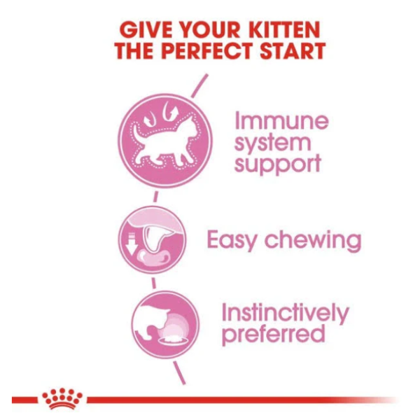 Royal Canin Chunks in Jelly Wet Kitten Food Royal Canin Chunks in Jelly Wet Kitten Food