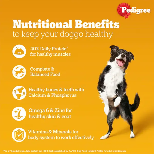 Pedigree Adult Chicken & Liver Chunks Wet Dog Food Pedigree Adult Chicken & Liver Chunks Wet Dog Food