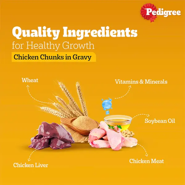 Pedigree Adult Chicken & Liver Chunks Wet Dog Food-950b-4a82-be42-109023a4a63d Pedigree Adult Chicken & Liver Chunks Wet Dog Food