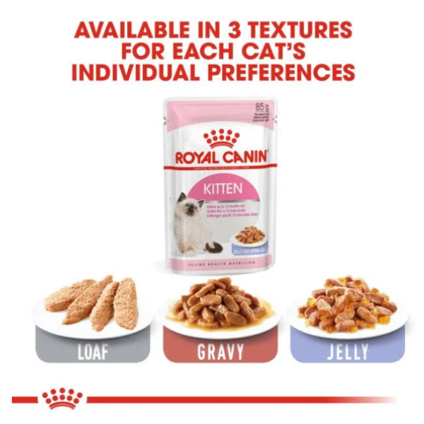 Royal Canin Chunks in Jelly Wet Kitten Food Royal Canin Chunks in Jelly Wet Kitten Food