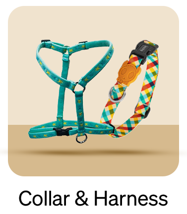 Collar-&-Harness (Cat)