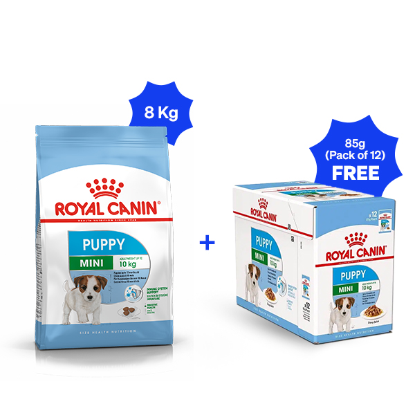 Royal Canin Mini Puppy Dry Dog Food (8 Kg + Pack of 12)
