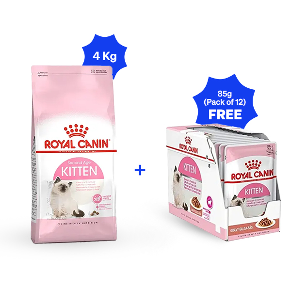 Royal Canin Second Age Dry Kitten Food (4 Kg + Pack of 12)