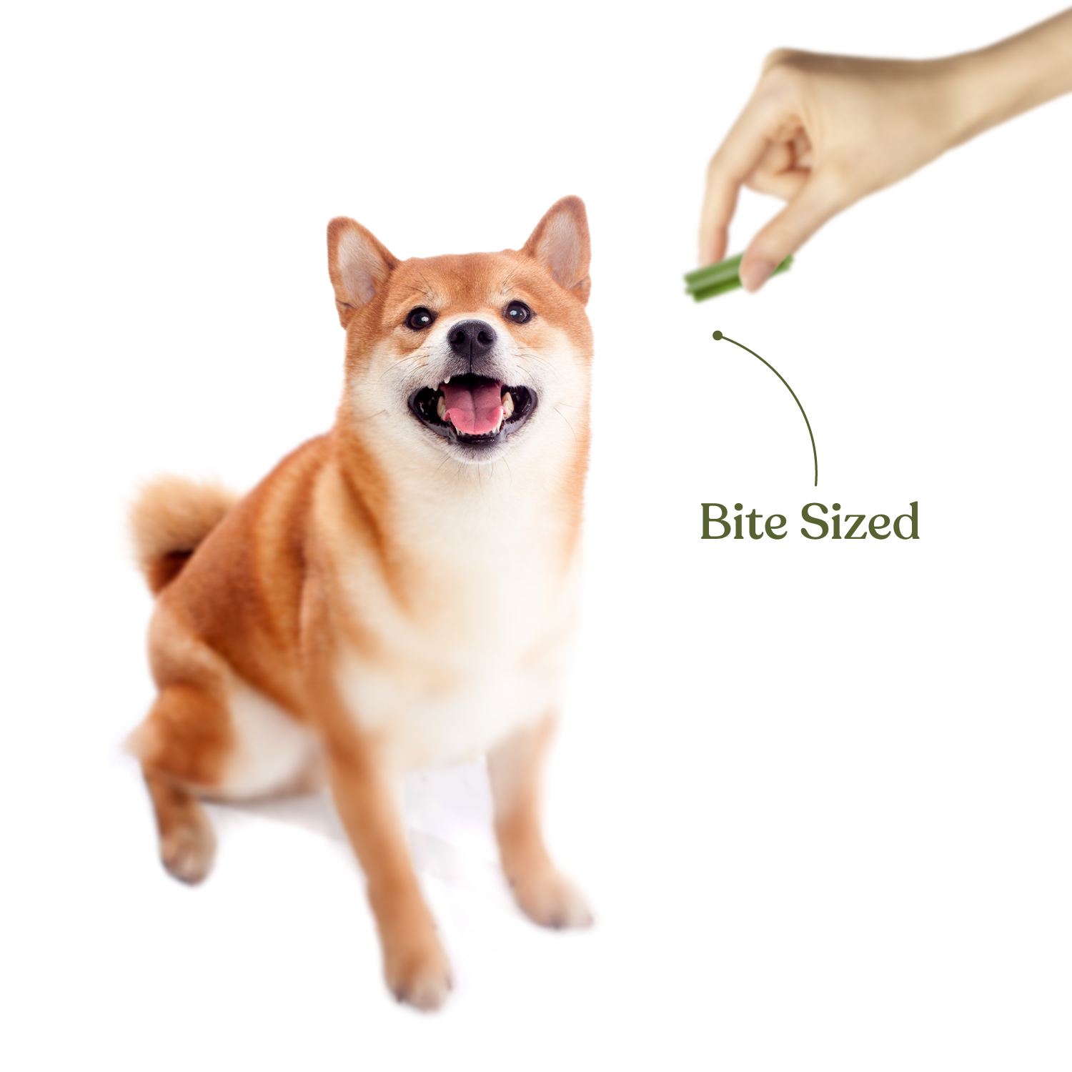 SNACKERS_jar-Treats_SKU-78