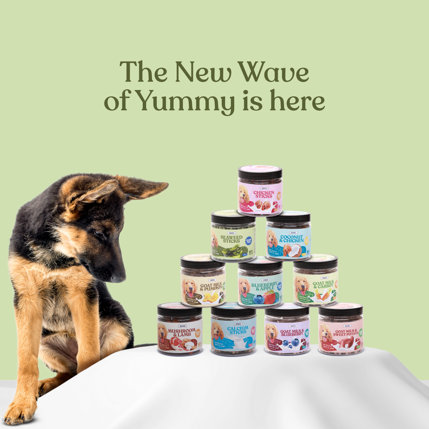 SNACKERS_jar-Treats_SKU-79