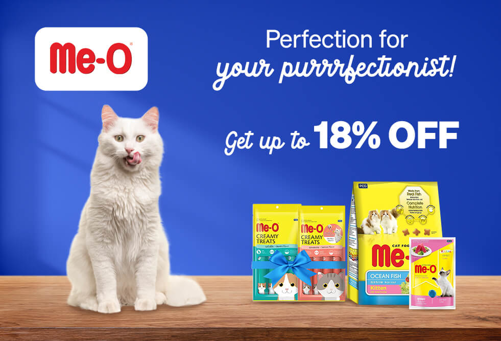 popular-brands-meo