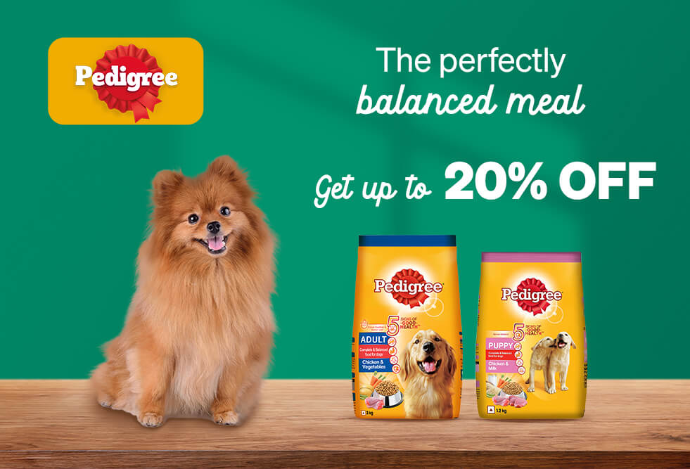 popular-brands-pedigree