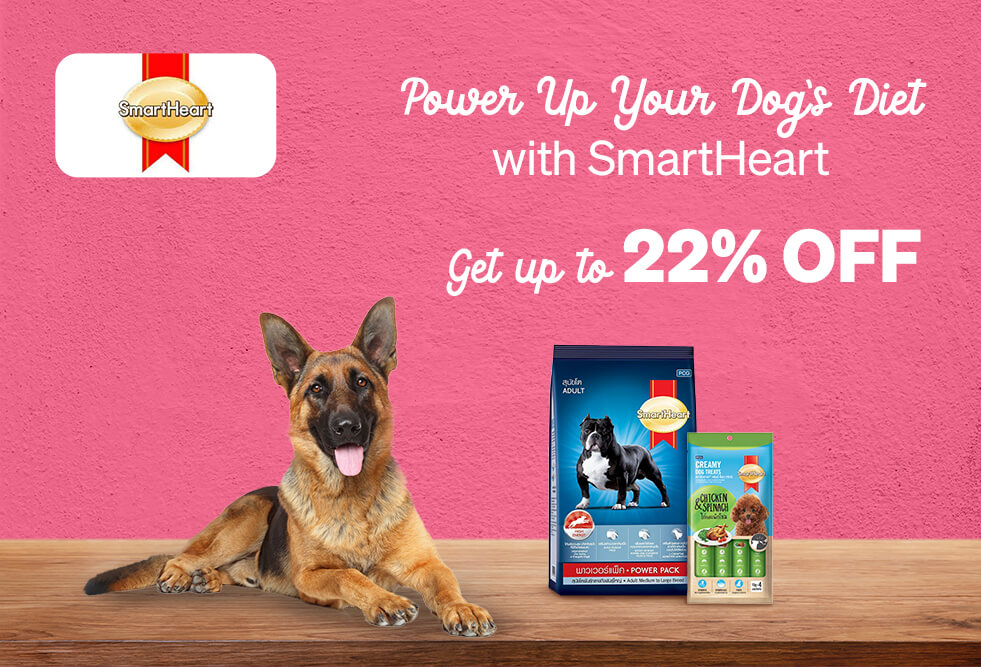 popular-brands-smart-heart