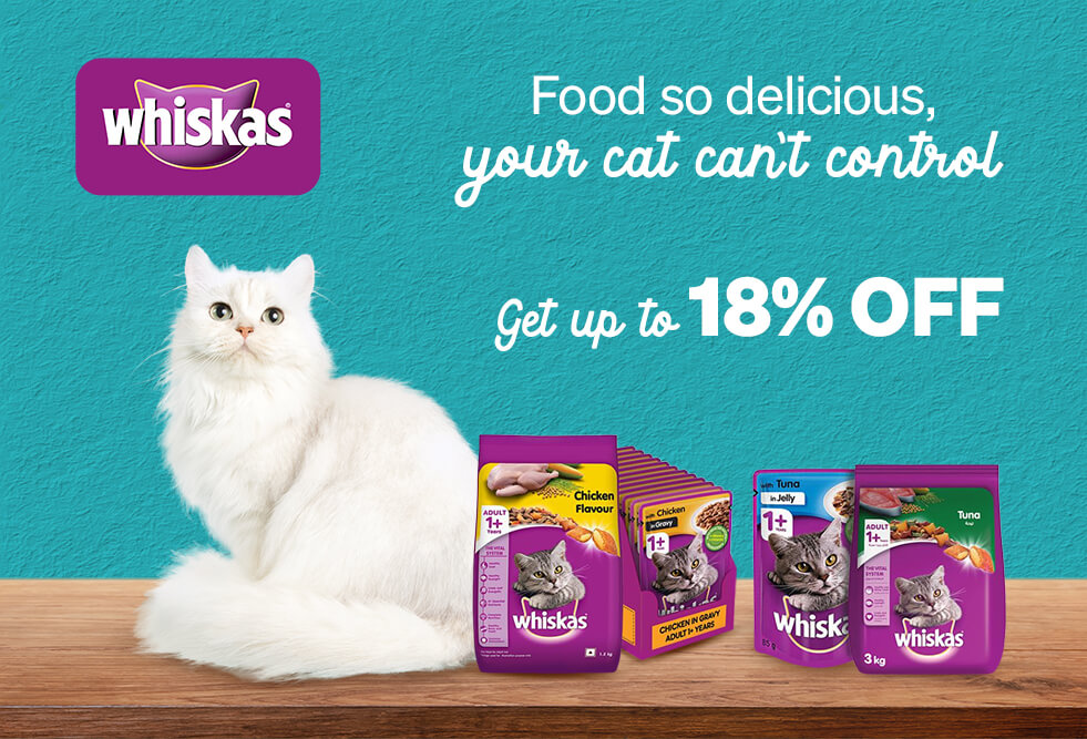 popular-brands-whiskas