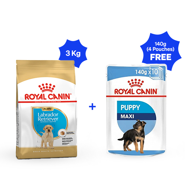 Royal Canin Labrador Retriever Puppy Dry Dog Food (3 Kg + 4 Pouches Free)