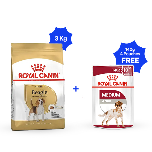 Royal Canin Beagle Adult Dry Dog Food (3 Kg + 4 pouches free)