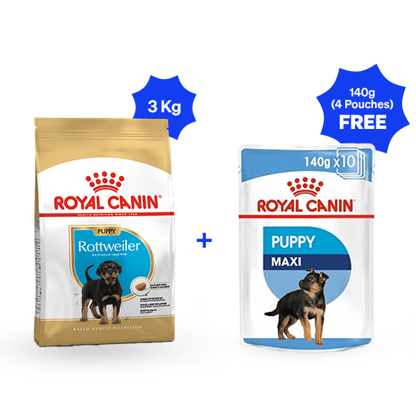 Royal Canin Rottweiler Puppy Dry Dog Food ( 3 Kg + Free 4 pouches)