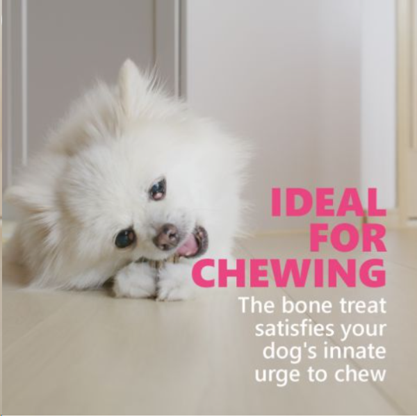 Gnawlers Calcium Sticks Milk Flavour Dog Treats Gnawlers Calcium Sticks Milk Flavour Dog Treats