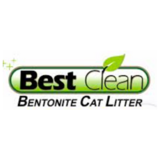 Best Clean Logo