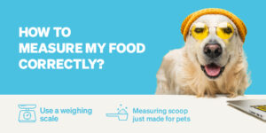 Are You Feeding Your Dog Enough? - Blog