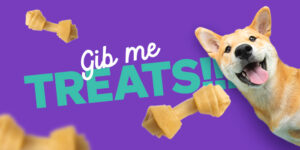 Are You Feeding Your Dog Enough? - Blog