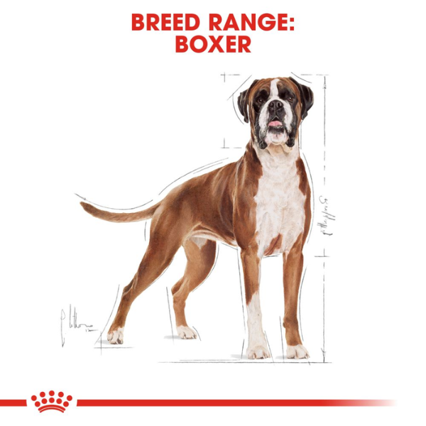 Royal Canin Boxer Adult Dry Dog Food Royal Canin Boxer Adult Dry Dog Food