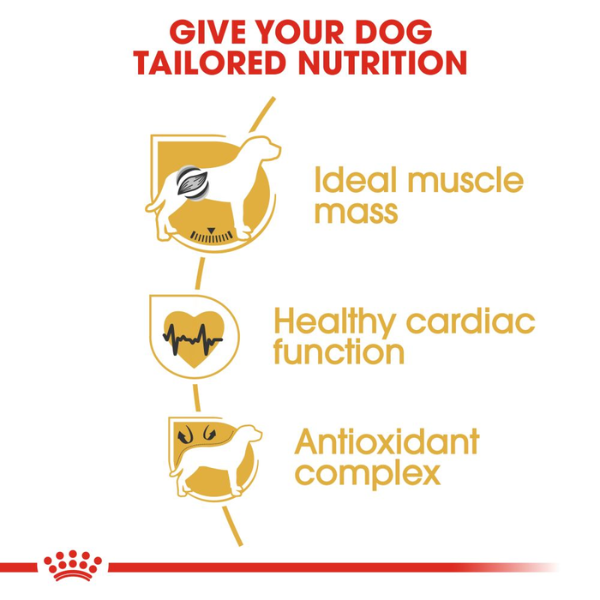 Royal Canin Boxer Adult Dry Dog Food Royal Canin Boxer Adult Dry Dog Food