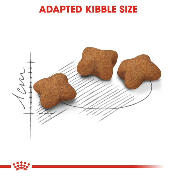 Royal Canin Kitten Sterilised Dry Cat Food Royal Canin Kitten Sterilised Dry Cat Food