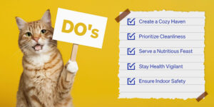 Monsoon Cat Care: Essential Do's and Don'ts