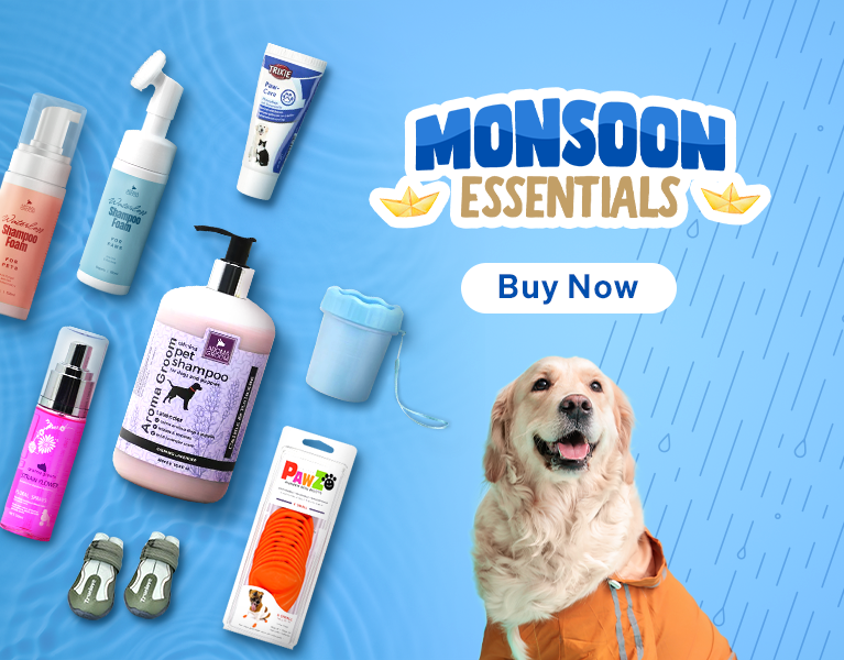 Monsoon Essentials