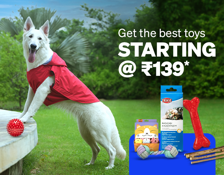 Toys starting at ₹139
