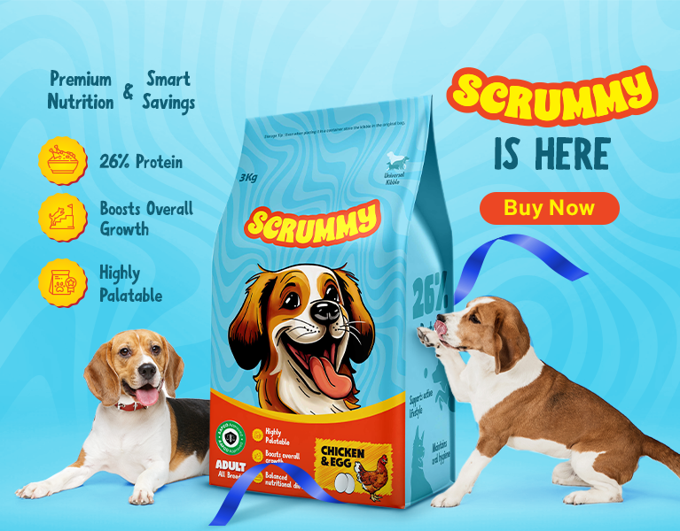 Scrummy Banner-Mobile_V2