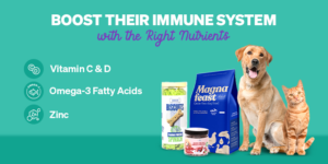 Monsoon Feeding Tips: How to Maintain a Balanced Diet for Your Pe