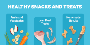 Monsoon Feeding Tips: How to Maintain a Balanced Diet for Your Pe
