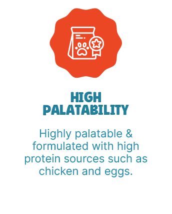 chicken-and-egg-dry-food-slide-03