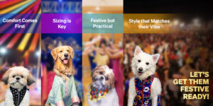 Pet’s Festive Glam Guide:  From Chic Apparel to Spa Bliss 