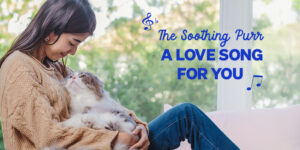 The Purr of Contentment: How Cats Show Their Love and Trust
