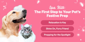 Pet’s Festive Glam Guide:  From Chic Apparel to Spa Bliss 