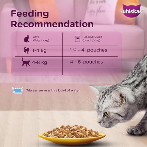 Whiskas Tune & White Fish in Jelly Wet Cat (1+ year) Food - 80gm Whiskas Tune & White Fish in Jelly Wet Cat (1+ year) Food - 80gm