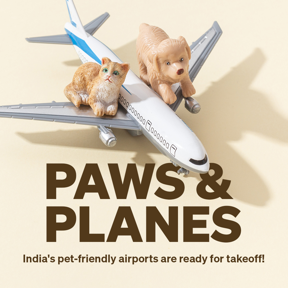 Paws and planes: India's pet-friendly airports are ready for takeoff! - Blog Cover