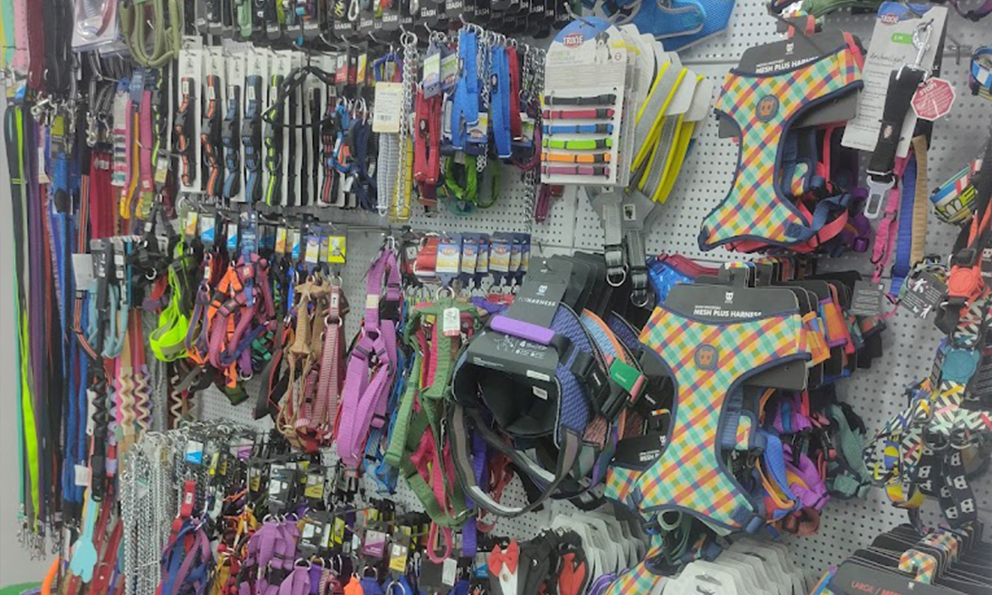 Pet Store and Spa | Bandra, Mumbai