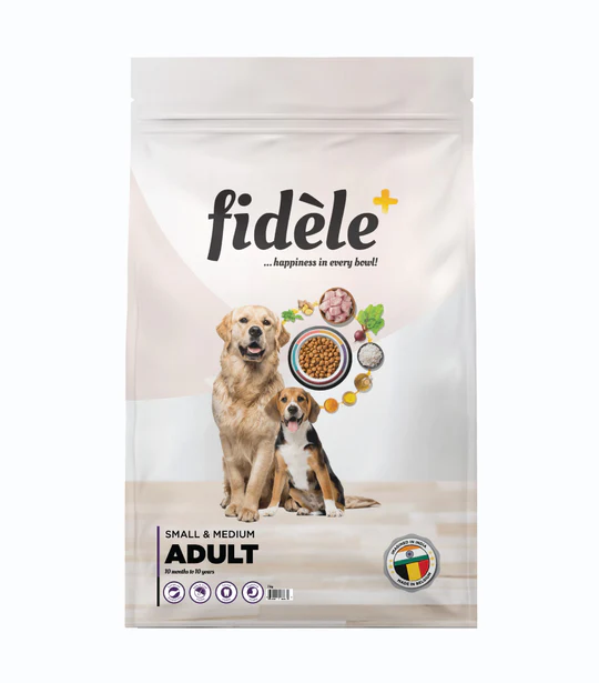 A-1-Kg-Front_Small-_-Medium-Adult_540x