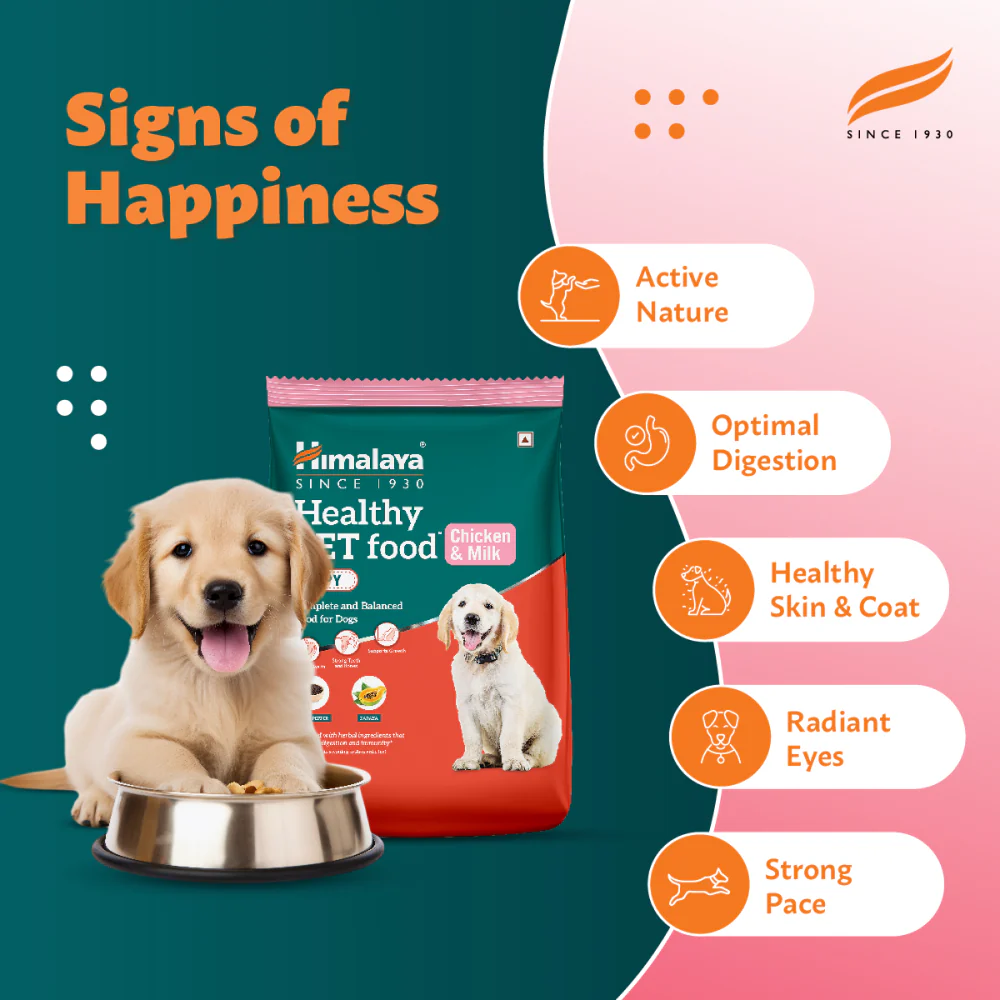 3_2_73b6f5c6-4465-4a17-88d2-d9567a5d7f05